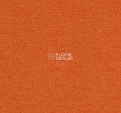 Ковровая плитка Interface Polichrome Solid 4266022 Carrot фото 1 | FLOORDEALER